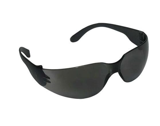 Óculos de Segurança Danny DA-14700 Águia Lente Cinza Antirrisco CA 14990